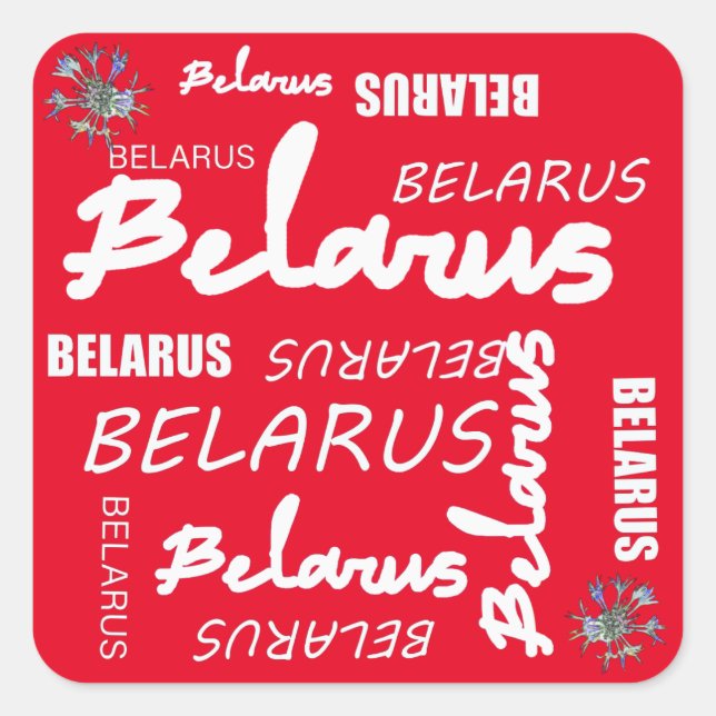 Belarus National Corn Flower Square Sticker (Front)