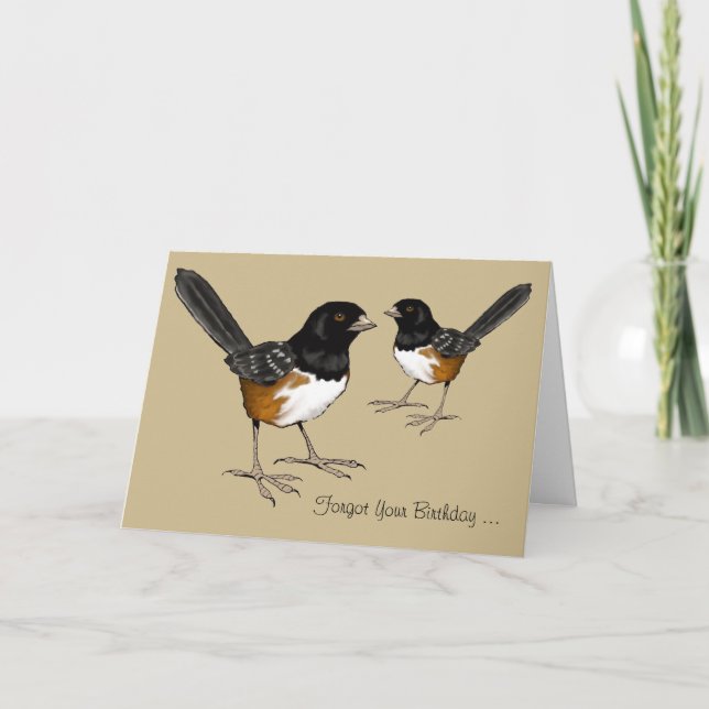 Belated Birthday, Bird Brain, Drawing of Birds Card (Front)