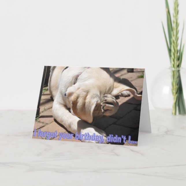 Belated Birthday Card (Front)