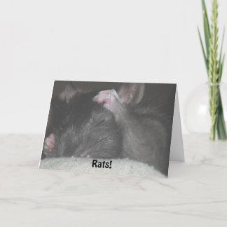 Belated Birthday Card