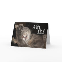 Belated Birthday, Cat