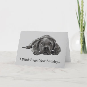 BELATED BIRTHDAY: DIDN'T FORGET: TOO LAZY, DOG CARD