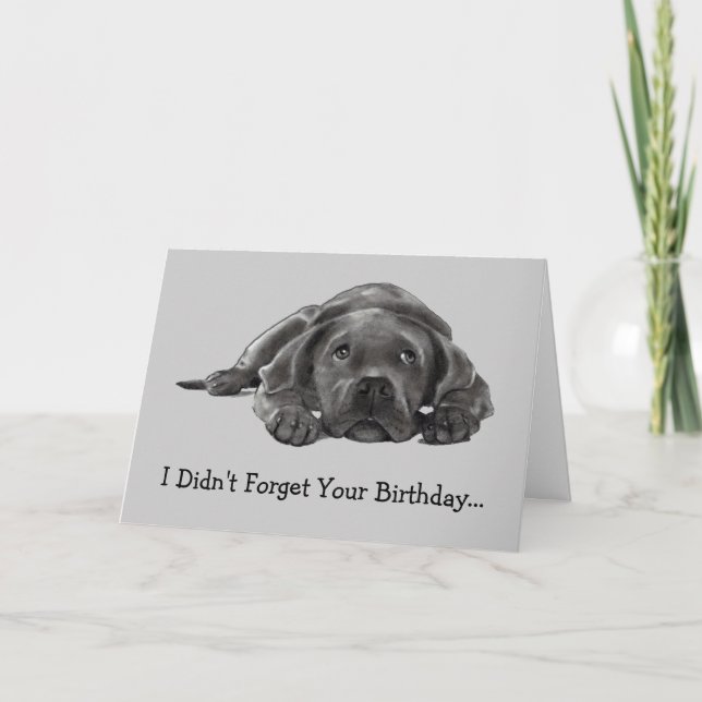 BELATED BIRTHDAY: DIDN'T FORGET: TOO LAZY, DOG CARD (Front)