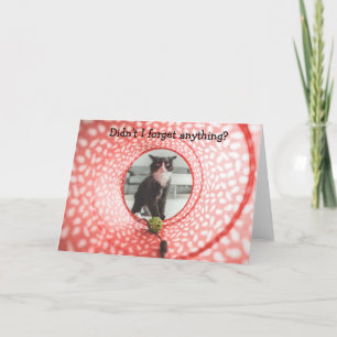 Belated Birthday? Funny Card with Cat