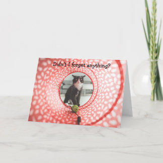 Belated Birthday? Funny Card with Cat