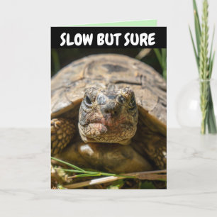 BELATED BIRTHDAY FUNNY TURTLE Greeting Card