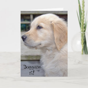 Belated Birthday-golden retriever puppy Card