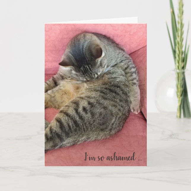 belated birthday-tabby cat on rose coloured chair card (Front)