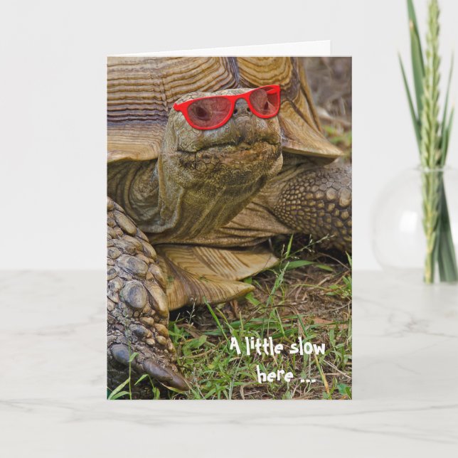 Belated Birthday Tortoise in sunglasses Card (Front)