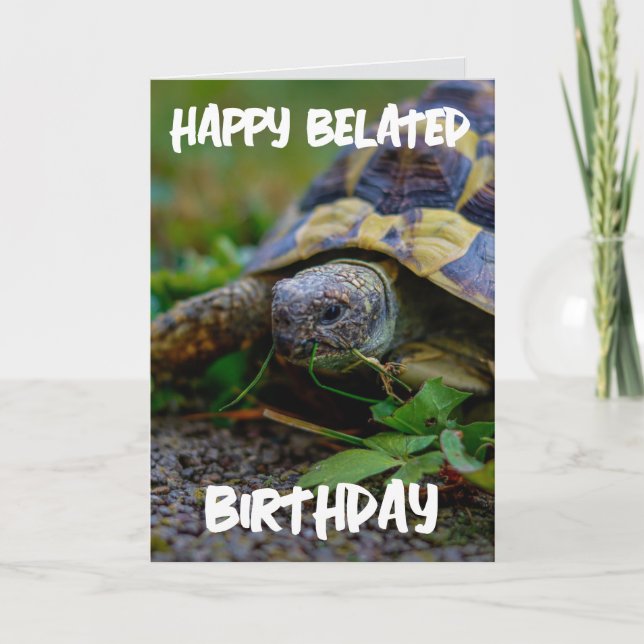 BELATED BIRTHDAY TURTLE BIG GREETING CARD (Front)
