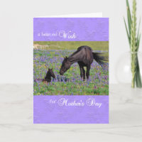 Belated Mother's Day Card Mustang Mare with Foal