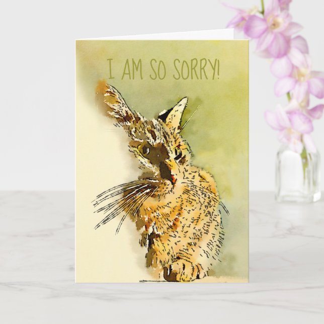 Belated Sorry Red Tabby Kitty Replaceable Photo Card (Orchid)