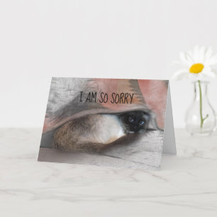 Belated Sorry Siamese Kitty Replaceable Photo Card