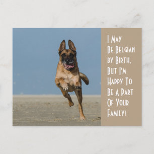 Belgian By Birth Dog Postcard
