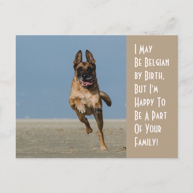 Belgian By Birth Dog Postcard (Front)