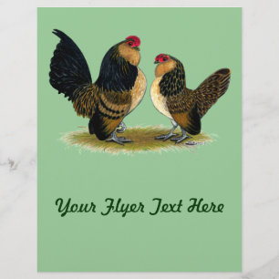Belgian d'Anvers Bantams: Quail Flyer