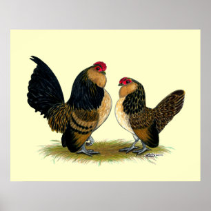 Belgian d'Anvers Bantams:  Quail Poster