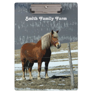 Belgian Draft Horse In Paddock Clipboard