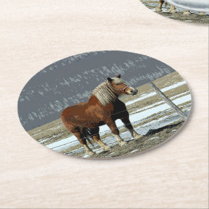 Belgian Draft Horse In Paddock Paper Coaster