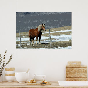Belgian Draft Horse In Paddock Poster