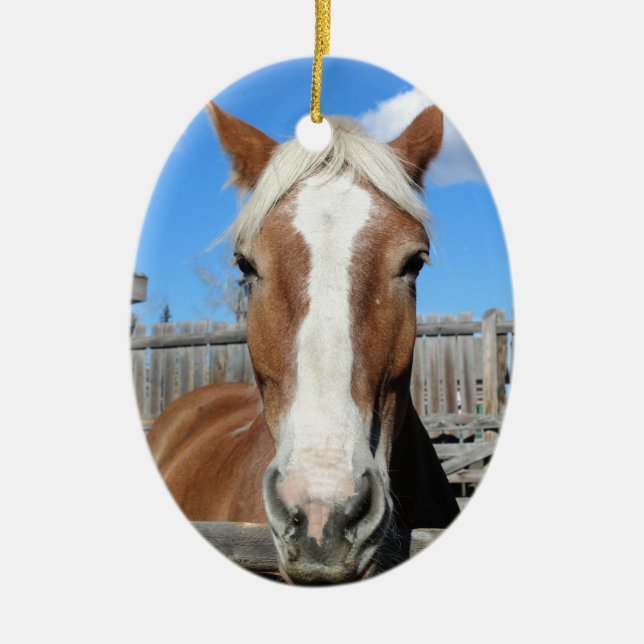 Belgian Draught   Horse Ceramic Tree Decoration (Front)