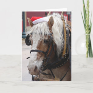 Belgian Draught Horse Christmas Greeting Holiday Card