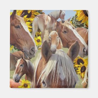 Belgian Draught Horse Collage Magnet