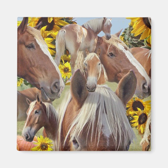 Belgian Draught Horse Collage Magnet (Front)