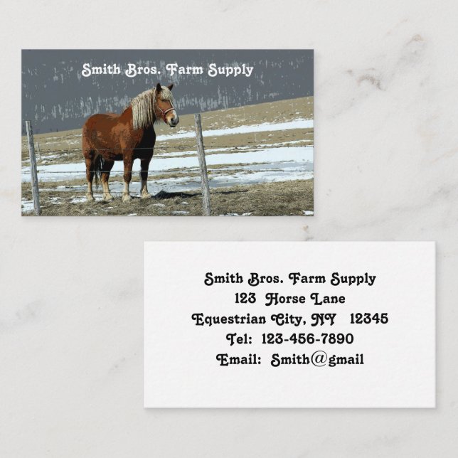 Belgian Draught Horse In Paddock Business Card (Front/Back)