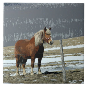 Belgian Draught Horse In Paddock Ceramic Tile