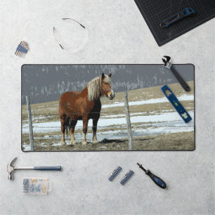 Belgian Draught Horse In Paddock Desk Mat