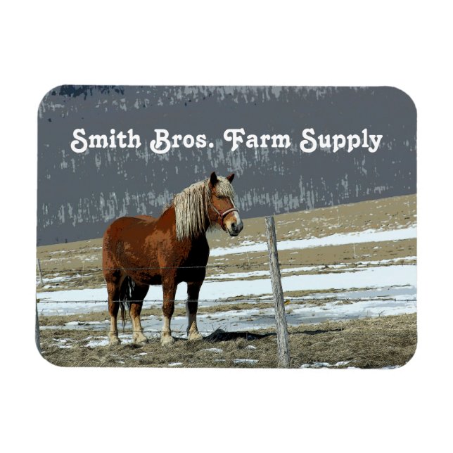 Belgian Draught Horse In Paddock Flexible Magnet (Horizontal)