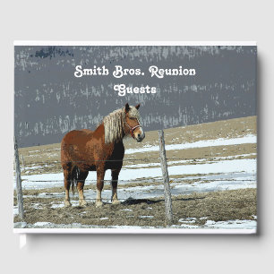 Belgian Draught Horse In Paddock Guest Book