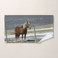 Belgian Draught Horse In Paddock Hand Towel