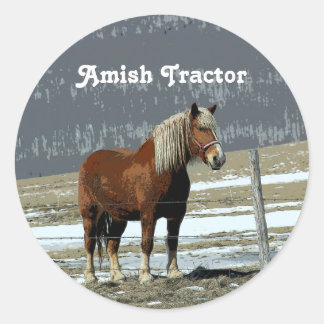 Belgian Draught Horse In Paddock Stickers