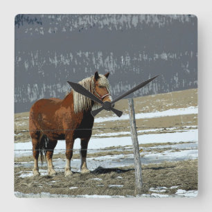 Belgian Draught Horse In Paddock Wall Clock