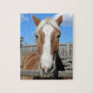 Belgian Draught   Horse Jigsaw Puzzle
