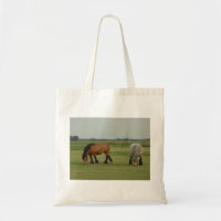 Belgian Draught Horse-one grey, one brown