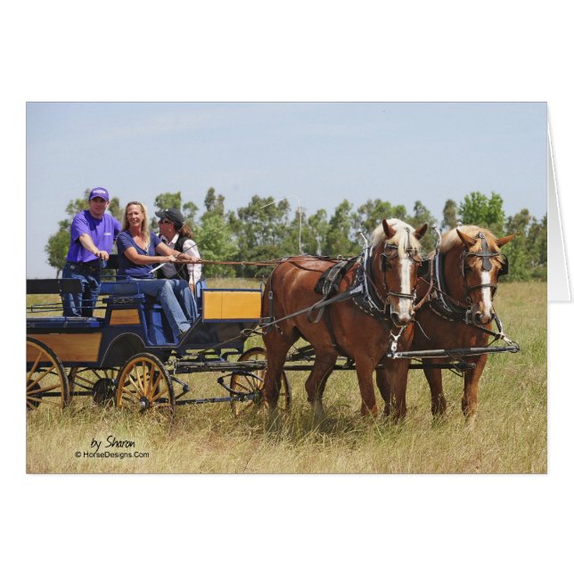 Belgian Draught   Horse Wagon (Front Horizontal)