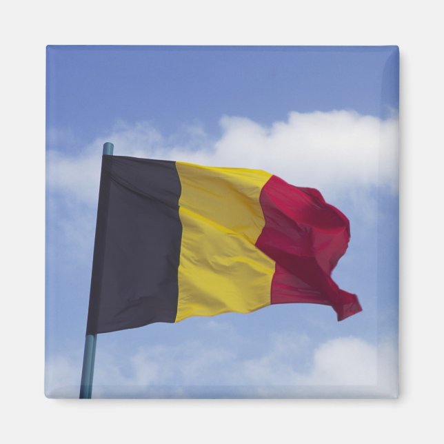Belgian flag RF) Magnet (Front)