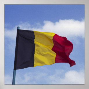 Belgian flag RF) Poster