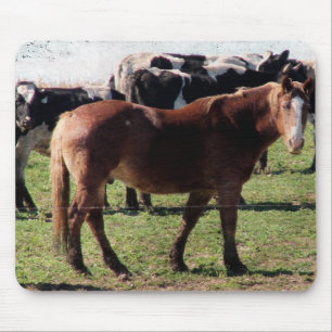 Belgian Horse and Dairy Cattle Mouse Pad