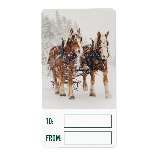 Belgian Horse Team Wintery Christmas Scene (Front)