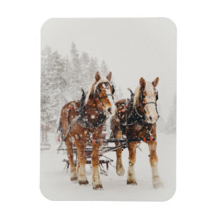 Belgian Horse Team Wintery Christmas Scene Magnet