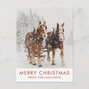 Belgian Horse Team Wintery Christmas Scene Postcard