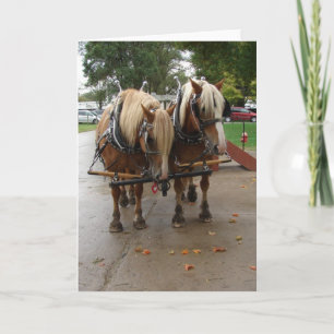 Belgian Horses Card