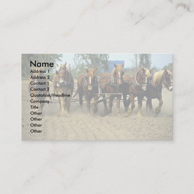 Belgian horses ploughing, six-up, Red Top Farm, Business Card (Front)