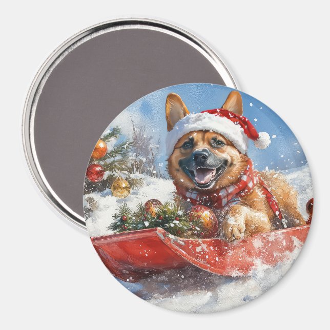 Belgian Malinoi in Sledge Let it Snow Christmas Magnet (Front/Back)