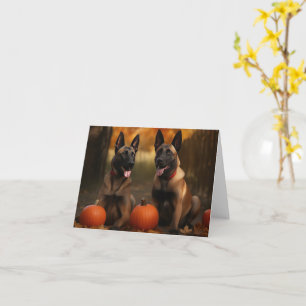 Belgian Malinoi Puppy Autumn Delight Pumpkin  Card