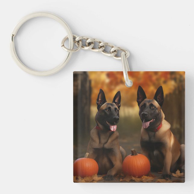 Belgian Malinoi Puppy Autumn Delight Pumpkin  Key Ring (Front)